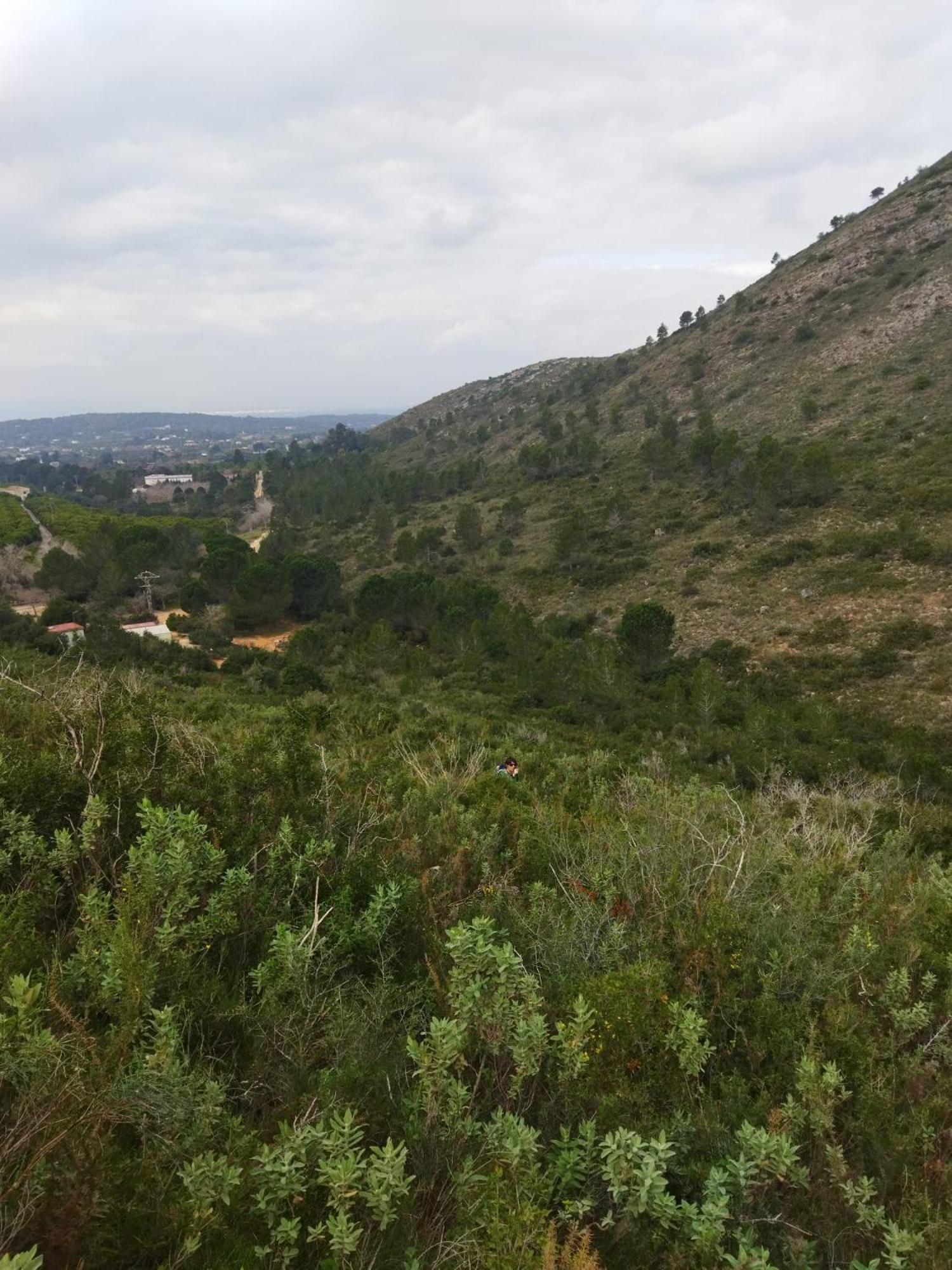 Casa Bienvenida - La Naturaleza Carcagente Exterior foto