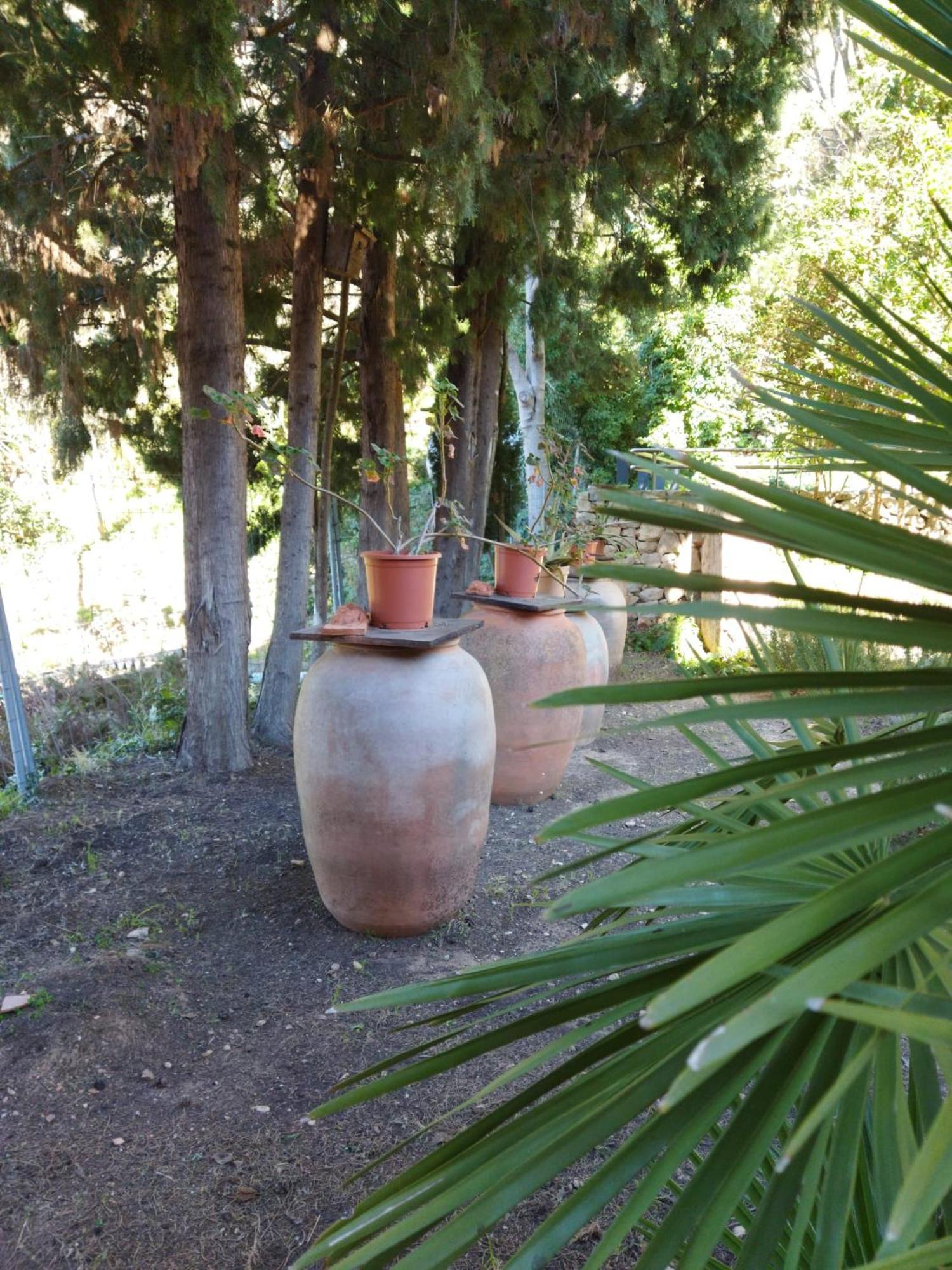 Casa Bienvenida - La Naturaleza Carcagente Exterior foto