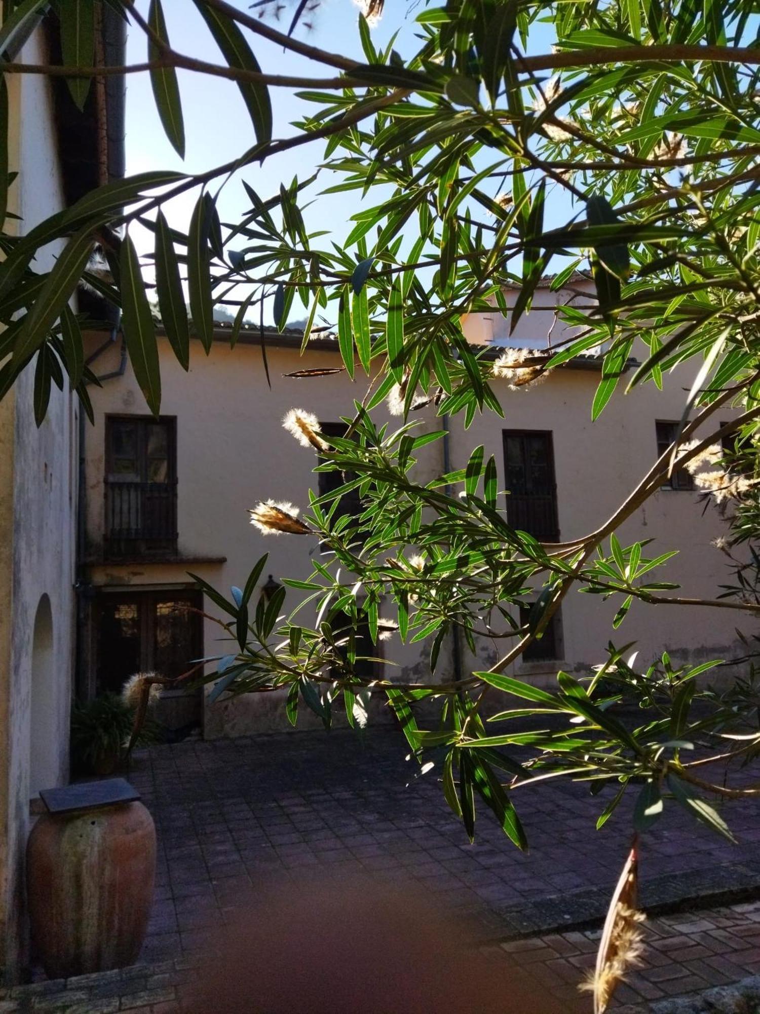 Casa Bienvenida - La Naturaleza Carcagente Exterior foto