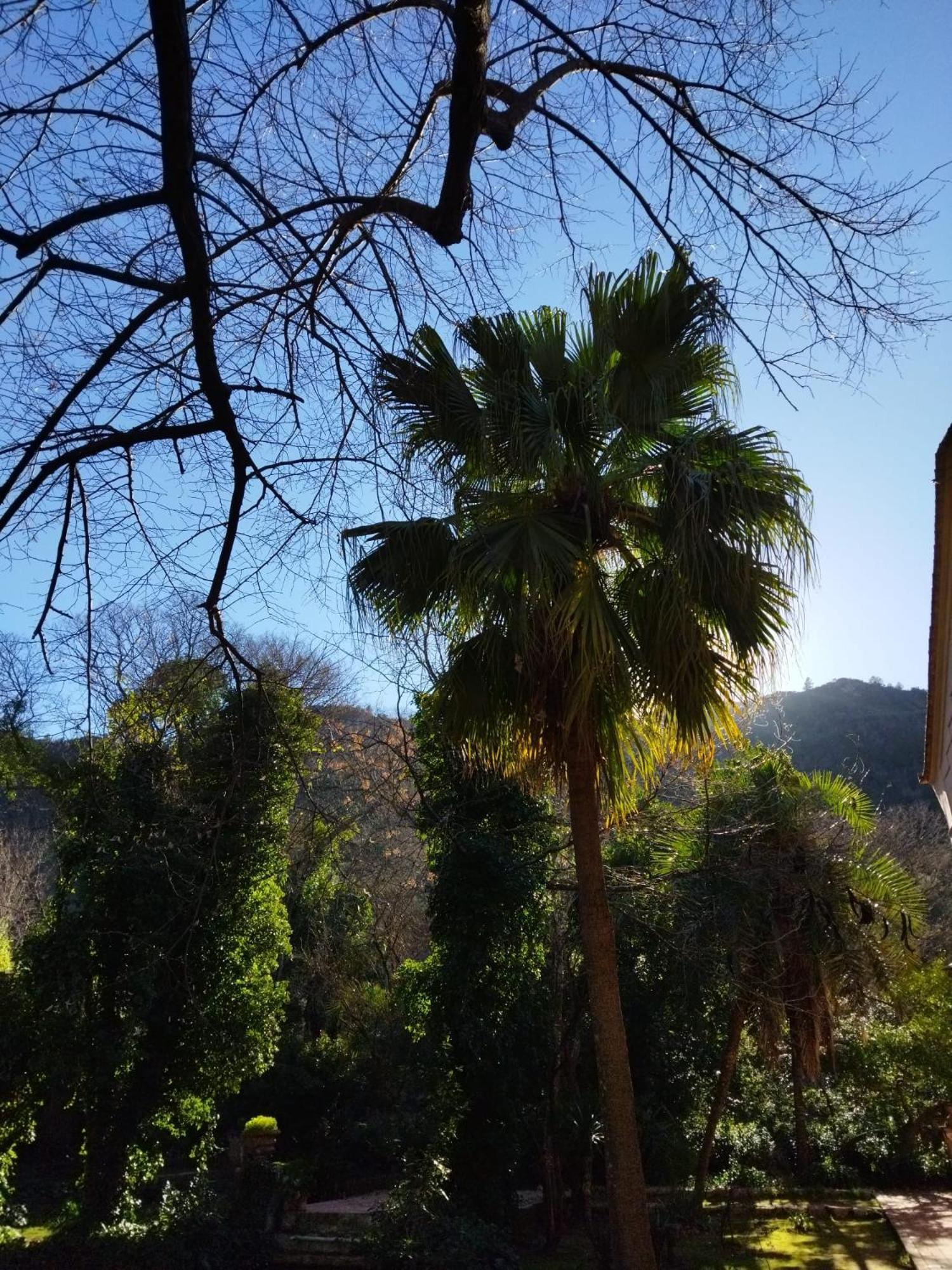 Casa Bienvenida - La Naturaleza Carcagente Exterior foto